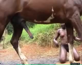 amazing best horse anal latina slut with big ass enjoys giving horse blowjob